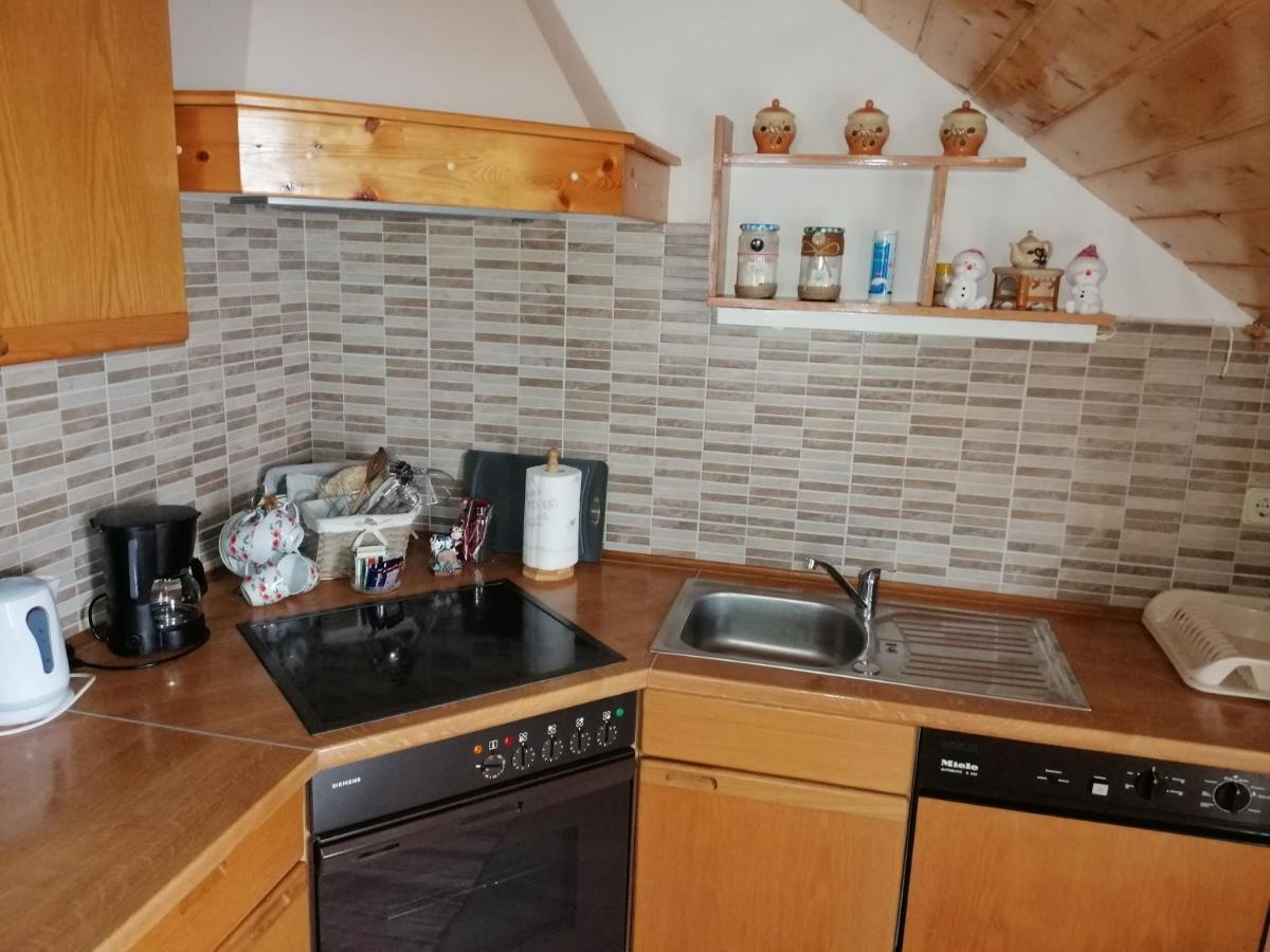 Apartment Mihalic Ogulin Zewnętrze zdjęcie